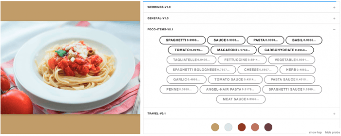 food-classification-model-pasta
