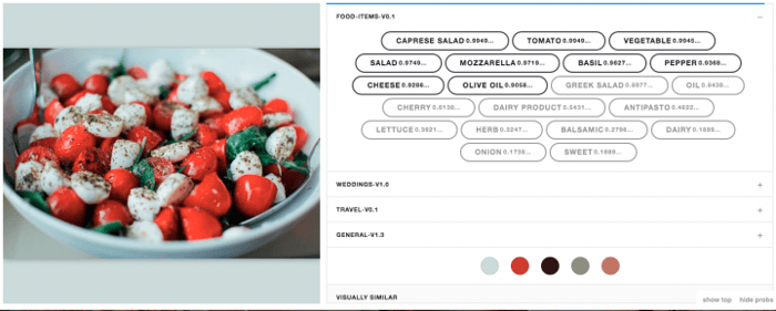 food-classification-model-tomatoes