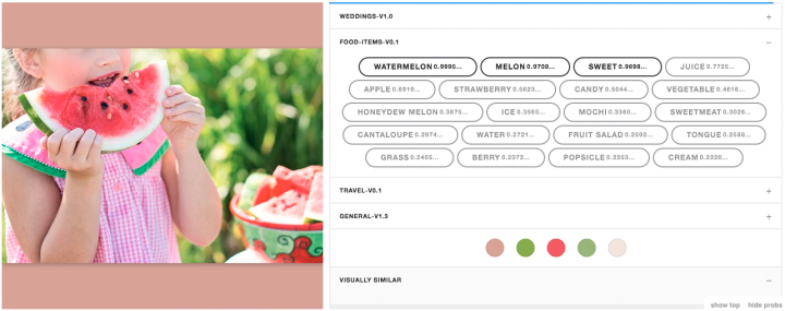 Food Recognition AI: Identify 1000s of Food & Ingredients