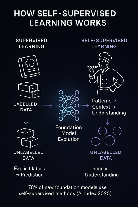 How Self Supervised Learning works
