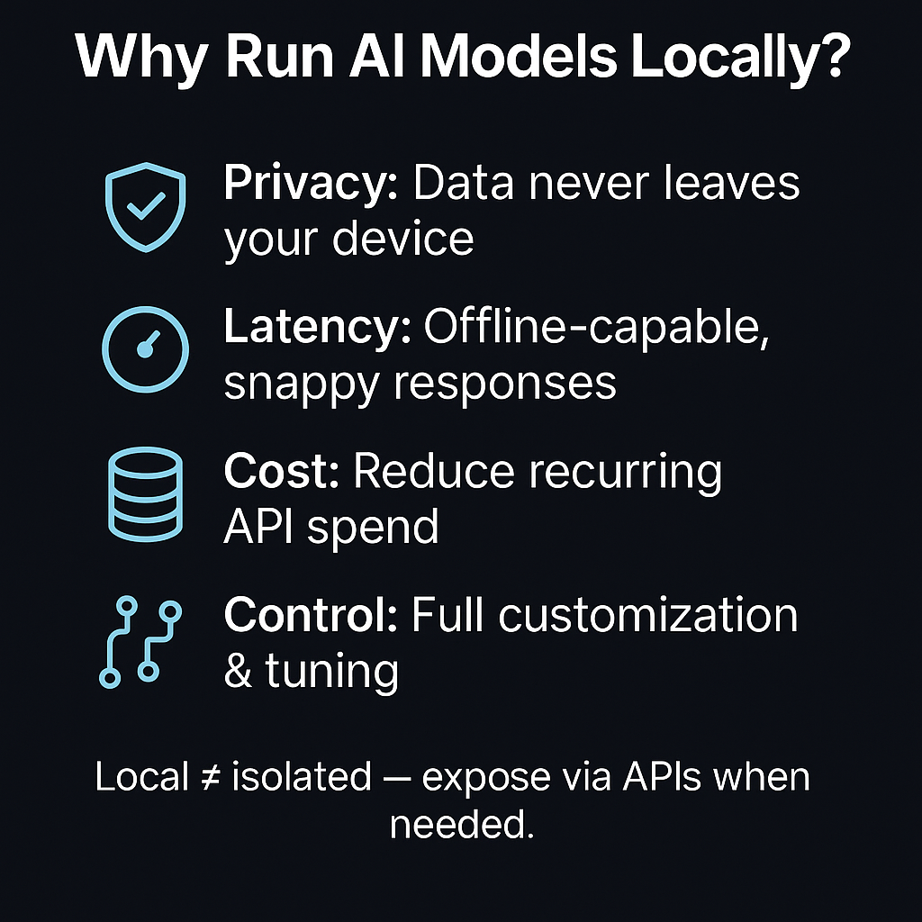 Why run Ai Models Locally