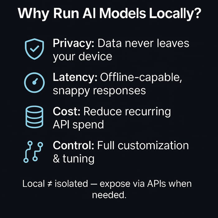 Why run Ai Models Locally