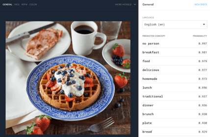 Clarifai screenshot showing AI evaluating probability of  image content.