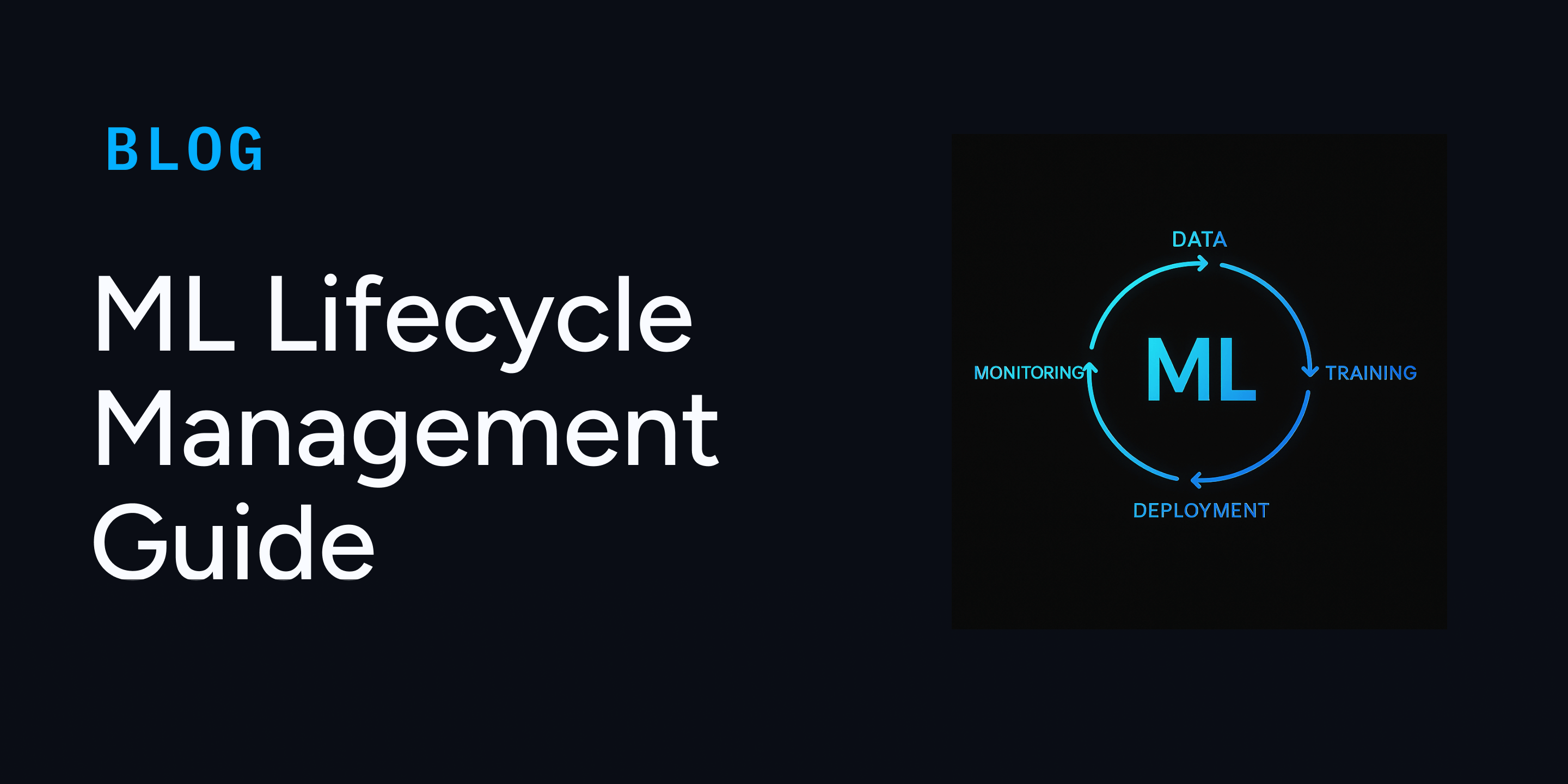 ML Lifecycle Management