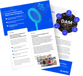 thumbnail-dam-solution-brief