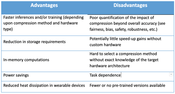 Advantages and Disadvantages of Pruning AI models